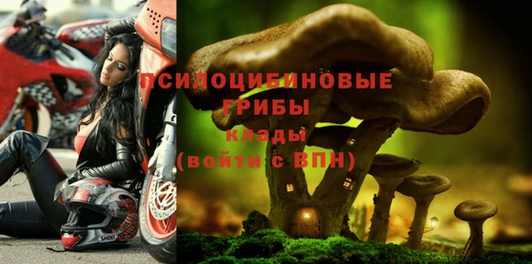 ECSTASY Осинники