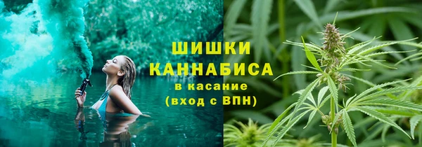 ECSTASY Осинники