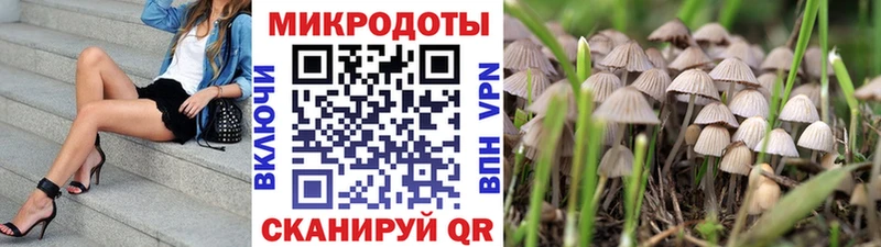 Псилоцибиновые грибы ЛСД  закладка  Углегорск 